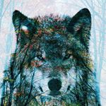 Profile Picture of Blake tillman (@wolf_swag_1957) on Instagram
