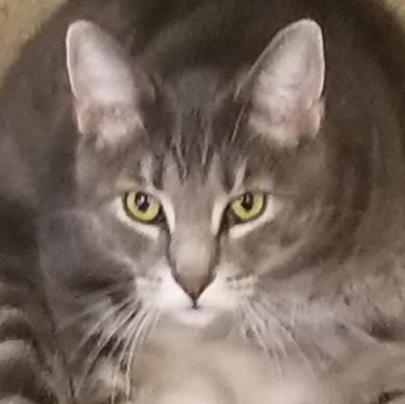 Profile Picture of Jillian Brock (@jillianb84) on Poshmark