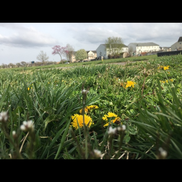 Majid Razzaq - Poshmark Profile Picture of Majid Razzaq (@majidrazzaq) on Poshmark