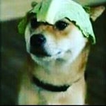 Profile Picture of Benjamin Queglas 😅 (@_teniente_lechuga_) on Instagram