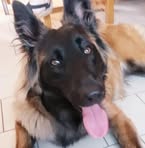 Profile Picture of Dimitri Frère (@dimitri.frere.39) on Facebook