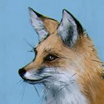 Profile Picture of Rafael Benjamin (@rafael.benjamin) on Instagram