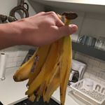 Profile Picture of Michael Parrish (@buster_brownie) on Instagram