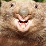 Profile Picture of Kevin Holmberg (@algen_oc) on Instagram