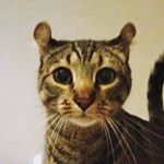 Profile Picture of Benjamin Mouton (@benjamin.mouton.1401) on Instagram