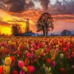 Profile Picture of David Borgiar (@davidborgiar) on Instagram