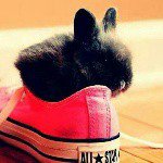 Profile Picture of lara (@lara_burger) on Instagram