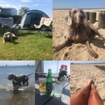 Profile Picture of Desire Edwin van Kolthoorn (@edwin.vankolthoorn) on Facebook