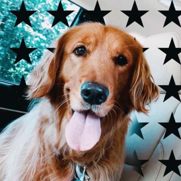 Profile Picture of Lucy Porter (@lucysporter) on Poshmark