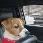 Profile Picture of Hazel Hale (@Hazel-Hale) on Facebook