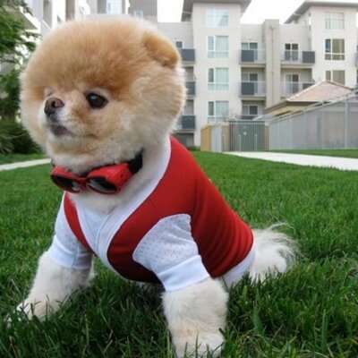 Profile Picture of Dung Ngo (@dungngo3006) on Twitter