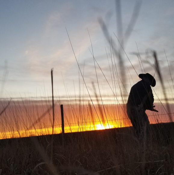 Profile Picture of Austin Gubbels (@austin_gubbels) on Poshmark