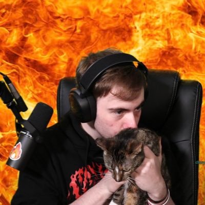 Profile Picture of Alice Browne (@AliceBr72761772) on Twitter