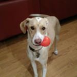 Profile Picture of Paul Matysek (@p.r.matty) on Instagram