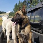 Profile Picture of Brett Bennett (@brettbennett2017) on Instagram