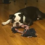 Profile Picture of Brad Nunley (@nundrspock31) on Instagram