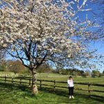 Profile Picture of 🥂🤍🖤Ted 🖤🤍🥂 (@ted.daviesss) on Instagram