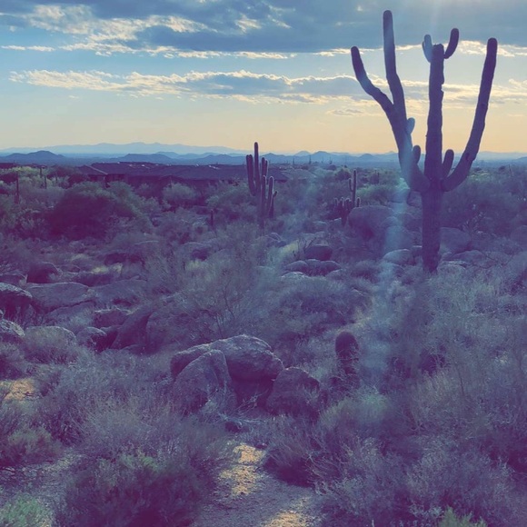 Jamie Stamp - Poshmark Profile Picture of Jamie Stamp (@postagestamp) on Poshmark