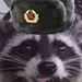 Profile Picture of SOVIET RACCOON (@dustindares2001) on Pinterest