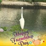 Profile Picture of Janet Boyd (@janetboyd2168) on Instagram