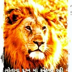 Jashu Parmar - Facebook Profile Picture of Jashu Parmar (@Jashu-Parmar) on Facebook