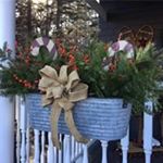 Profile Picture of Jayne Jordan Bergeron (@jayne71568) on Instagram