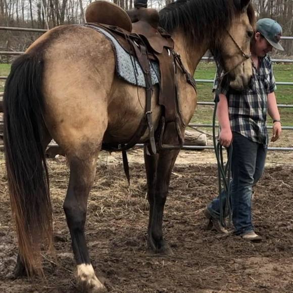 Brayden Taghon - Poshmark Profile Picture of Brayden Taghon (@rodeokid) on Poshmark