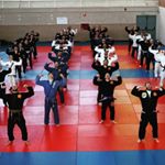 Profile Picture of Alvaro Rodriguez Marquez (@alvarorodriguezbjj) on Instagram