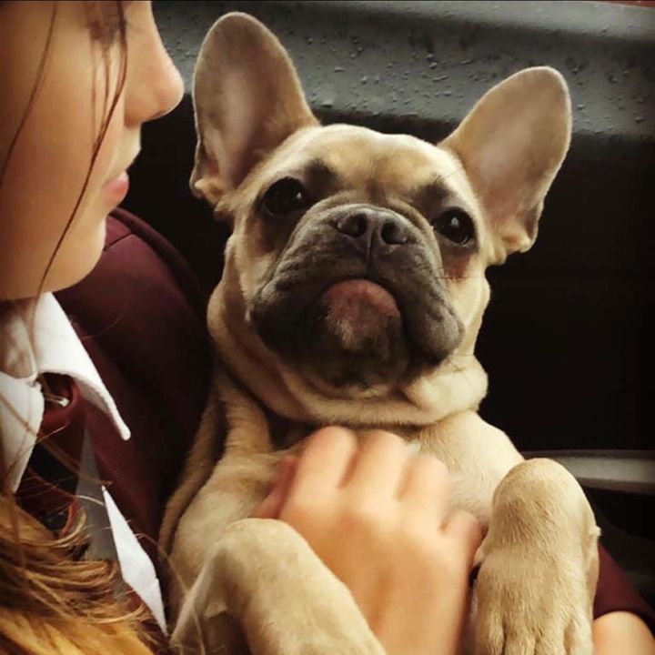 Profile Picture of doris+tal (@doris_fb) on Tiktok