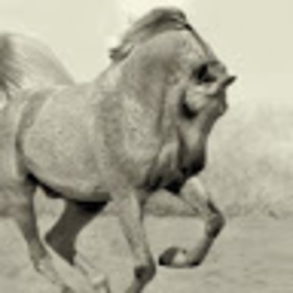 Profile Picture of Aurelia Pavilonis (@apavilonis10) on Poshmark