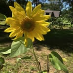 Profile Picture of Kim Fretz McAdory (@Kim.Fretz.McAdory) on Facebook