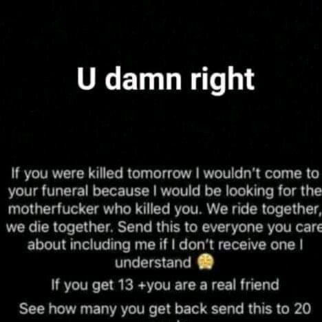 cloe woods - Tiktok Profile Picture of cloe woods (@cloewoods) on Tiktok