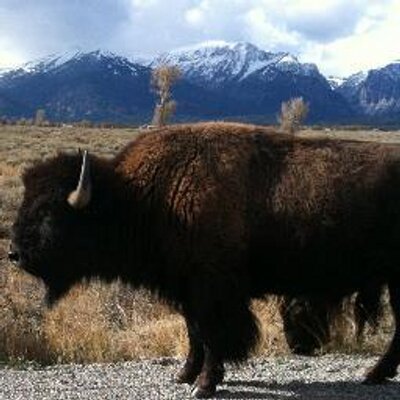 Profile Picture of Jim Cosgrove (@JDCOS) on Twitter