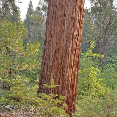 Profile Picture of Brent Benson (@BrentBe94266055) on Twitter