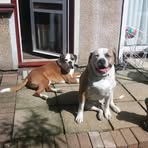 Dan Carley - Facebook Profile Picture of Dan Carley (@Dan-Carley) on Facebook