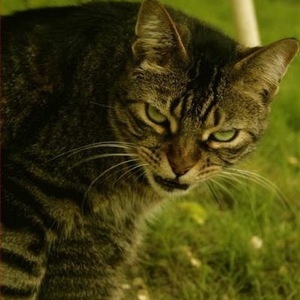 Profile Picture of Darren Cartwright (@big_daddy_d_carterson) on Myspace