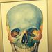 Profile Picture of Harold Stern (@haroldstern) on Pinterest