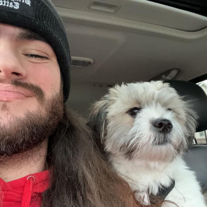 Profile Picture of Joseph Pulvino (@josephpulvino) on Tiktok