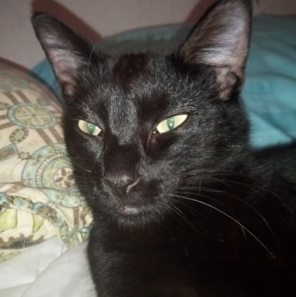 Profile Picture of Natalie Brookwell (@blueotis123) on Poshmark