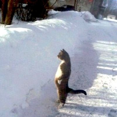 Profile Picture of Nathaniel Rojas (@Nathanielroja14) on Twitter