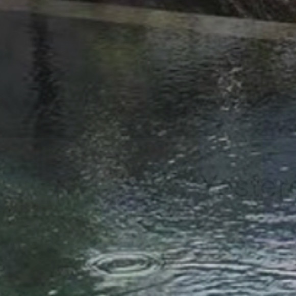 Profile Picture of Dee Tillman (@dameiont19) on Poshmark