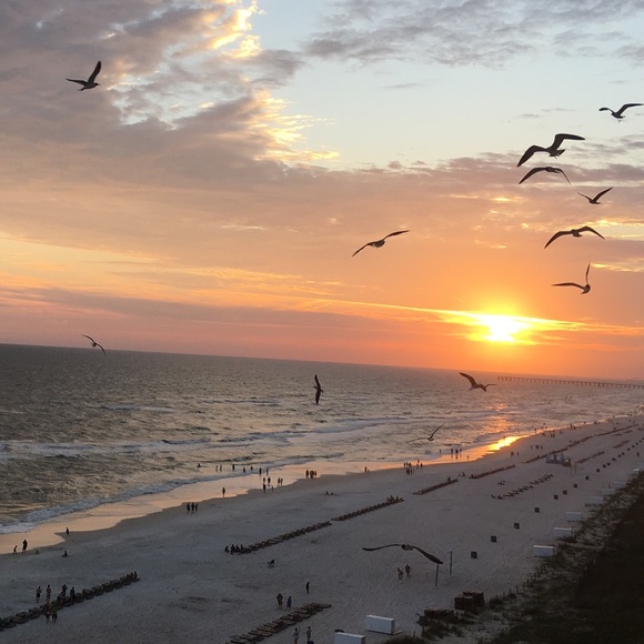 Profile Picture of Miranda Baxter (@mirandanbaxter) on Poshmark