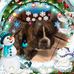Profile Picture of Pamela Ritter (@pamela.ritter.984) on Facebook