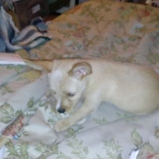 Profile Picture of Sandy Venable (@sandy.venable.14) on Facebook