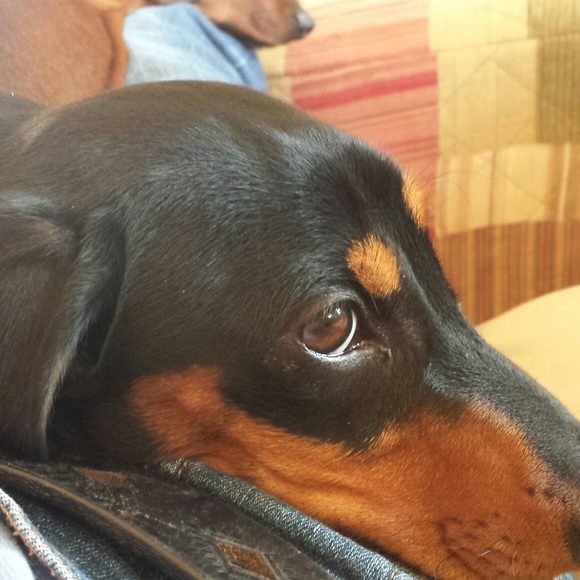 Profile Picture of Eric Rousseau (@rousseauem3) on Poshmark