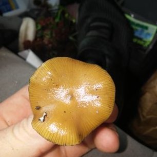 Profile Picture of Ben Sieben (@sieben_ben) on Twitter