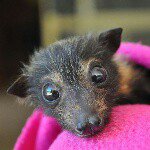 Profile Picture of Ale Di Mare (@alexdimare) on Instagram