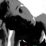 Profile Picture of George Grayson (@georgegrayon) on Instagram