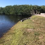 Profile Picture of Larry Chmielewski (@Larry-Chmielewski) on Facebook