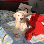 Profile Picture of nick lenzinger (@nicholas.lenzinger) on Instagram